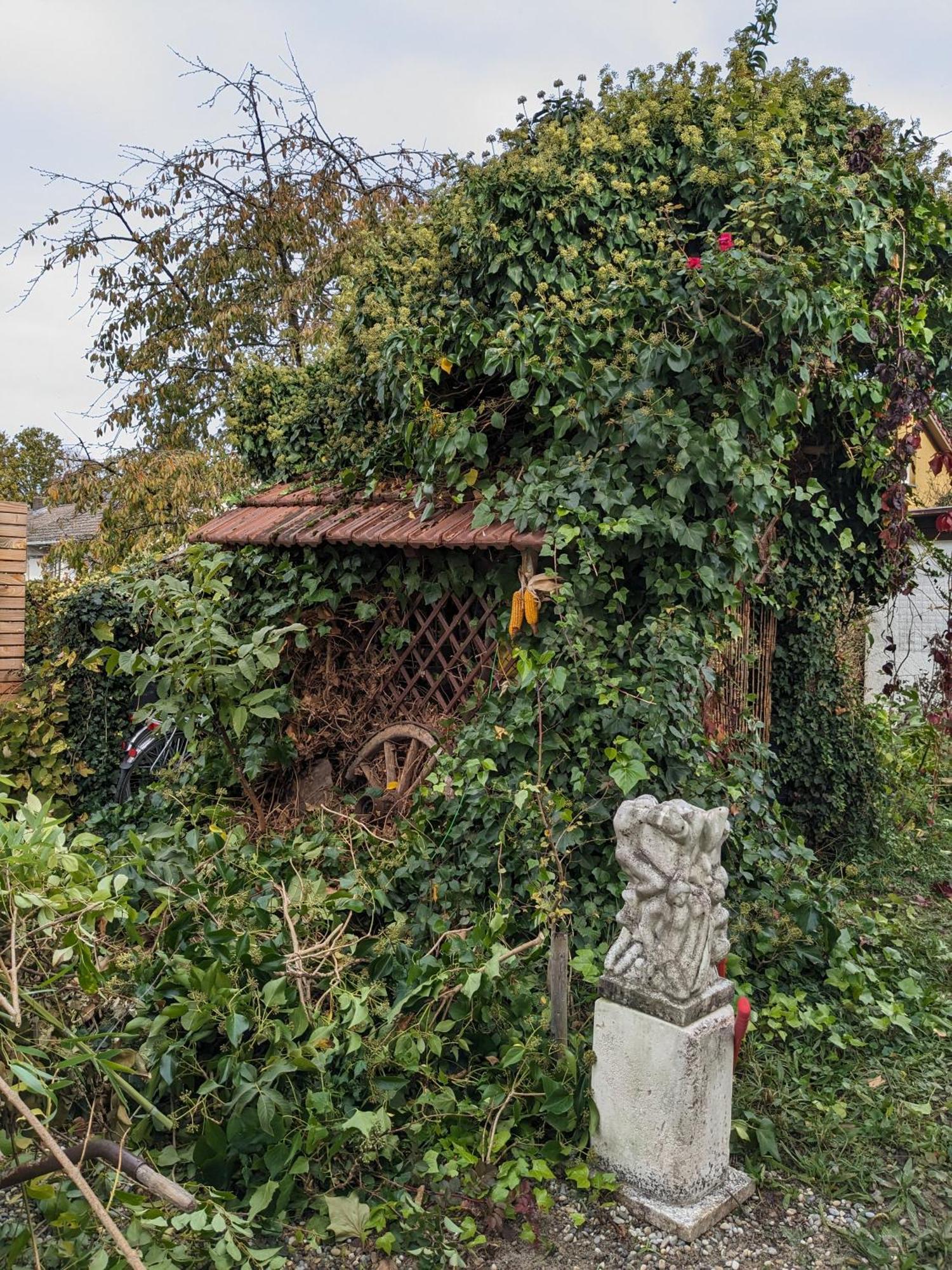 Badischer Neubau-Ruhe-Kunst-Natur Rheinau Exterior photo