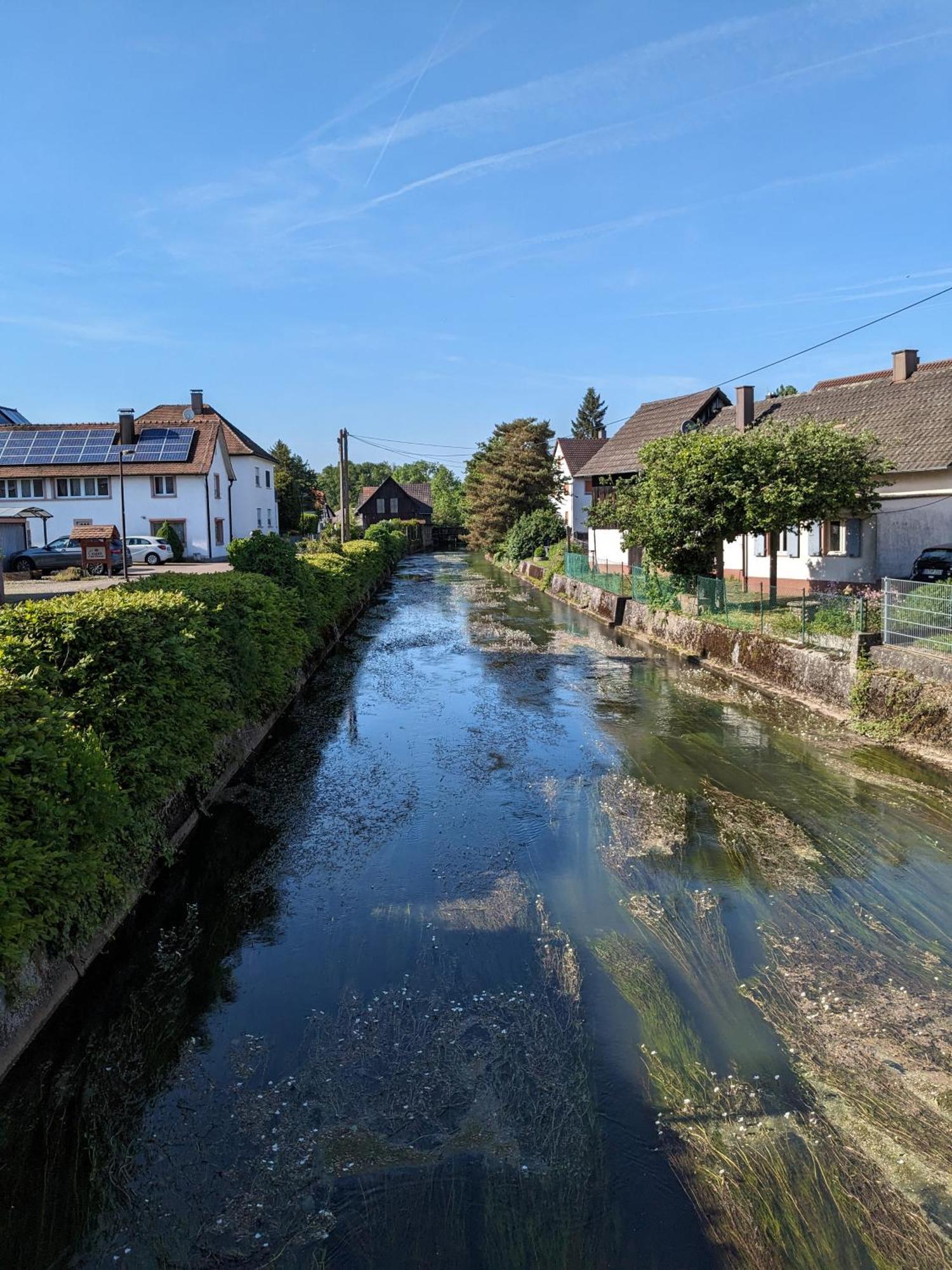 Badischer Neubau-Ruhe-Kunst-Natur Rheinau Exterior photo